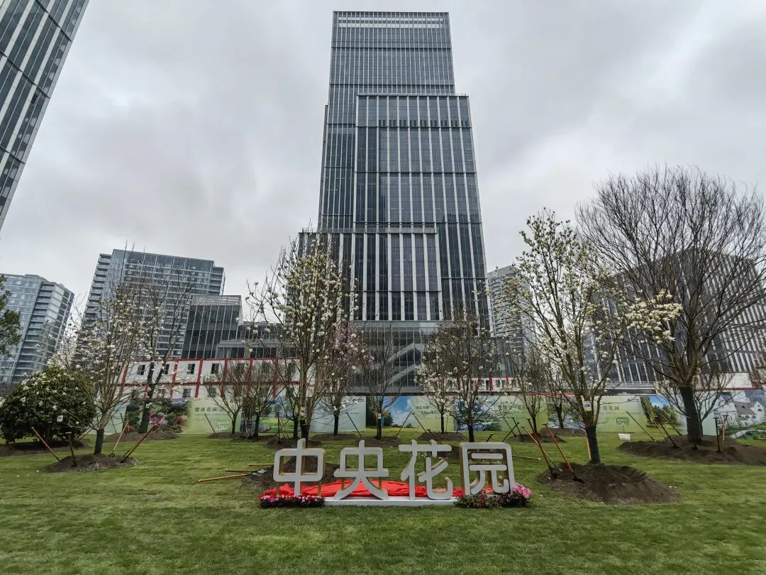 一周连连看黄浦区电动载人爬楼机服务全覆盖董家渡金融城再添新绿