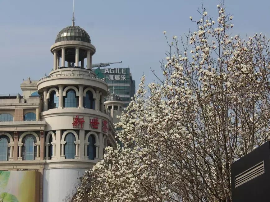 一周连连看黄浦区电动载人爬楼机服务全覆盖董家渡金融城再添新绿