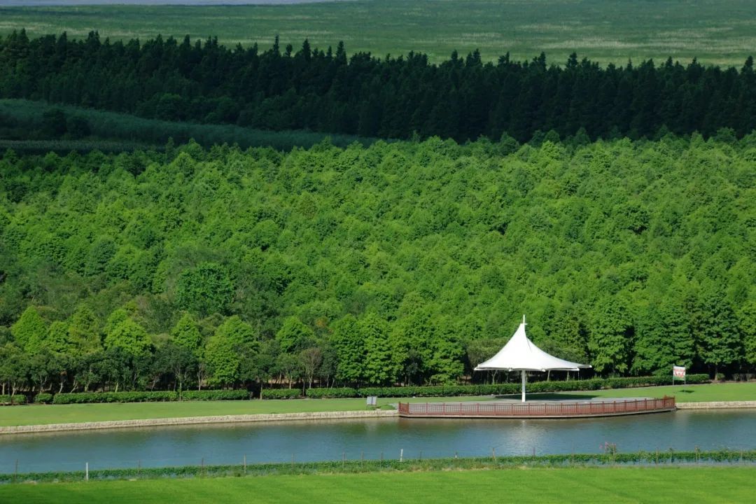 这个春天来横沙做橘长