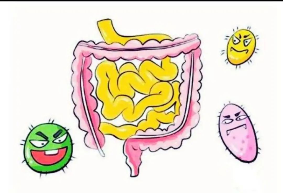 宝山疾控话健康如何预防肠道传染病