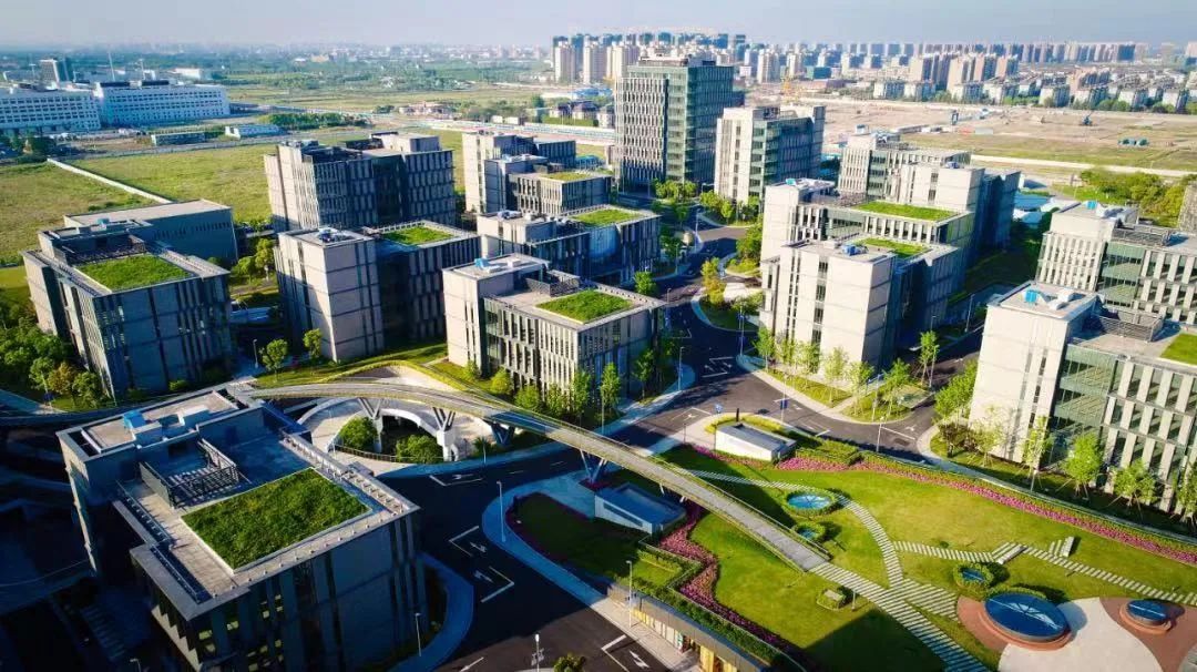 东方美谷集团发布年度成绩单以科技创新和产业升级引领未来发展