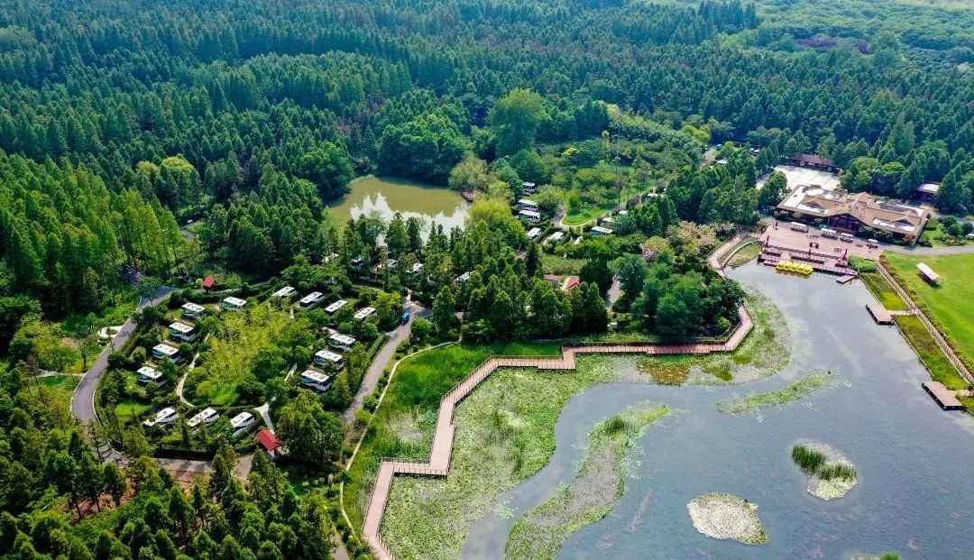 【摊位招募】悠哉崇明 寻"房"记,需要你的加入~_上观新闻