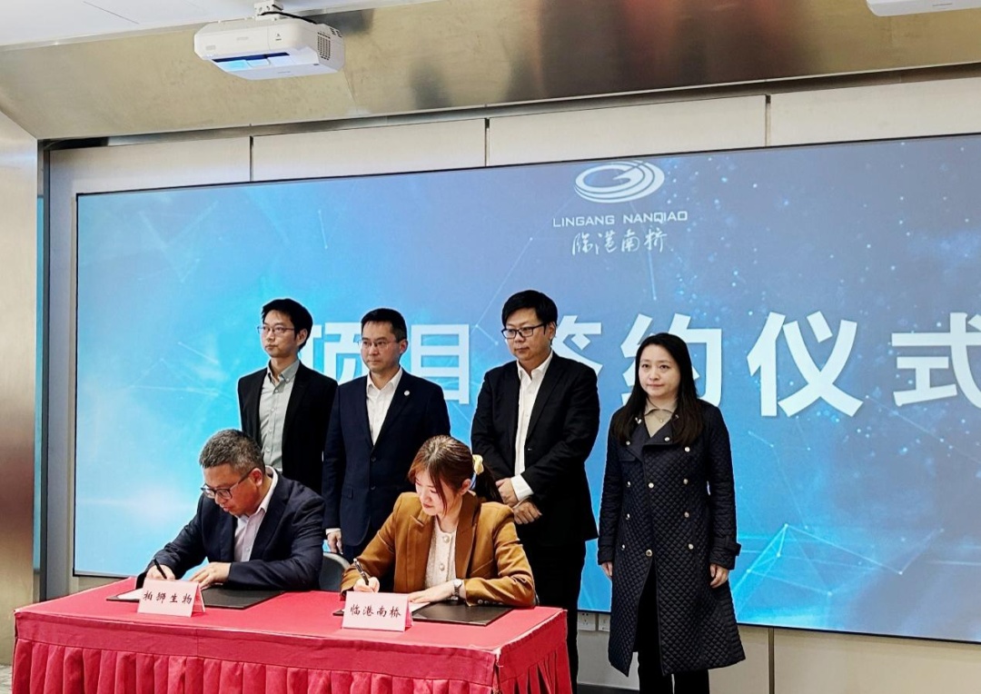 又一批生物医药新锐落户临港南桥科技城加快发展新质生产力