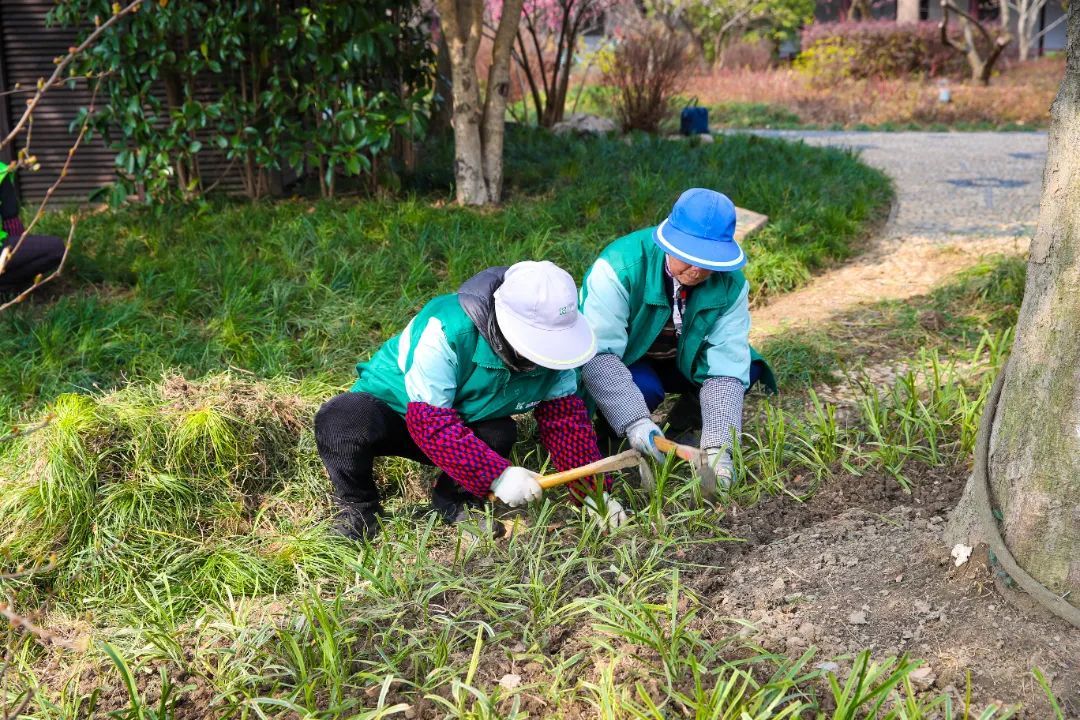 我的位置  上观号 上海松江 文章详情 思鲈园内