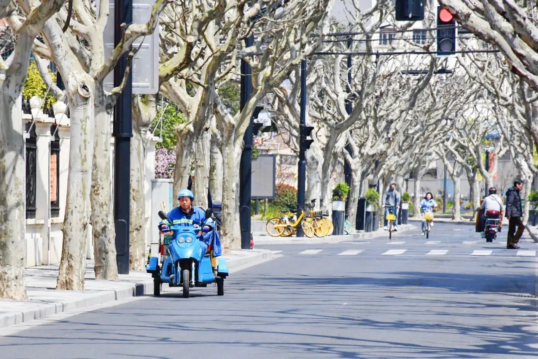 在曹杨漫步拍下了100张舍不得删的照片