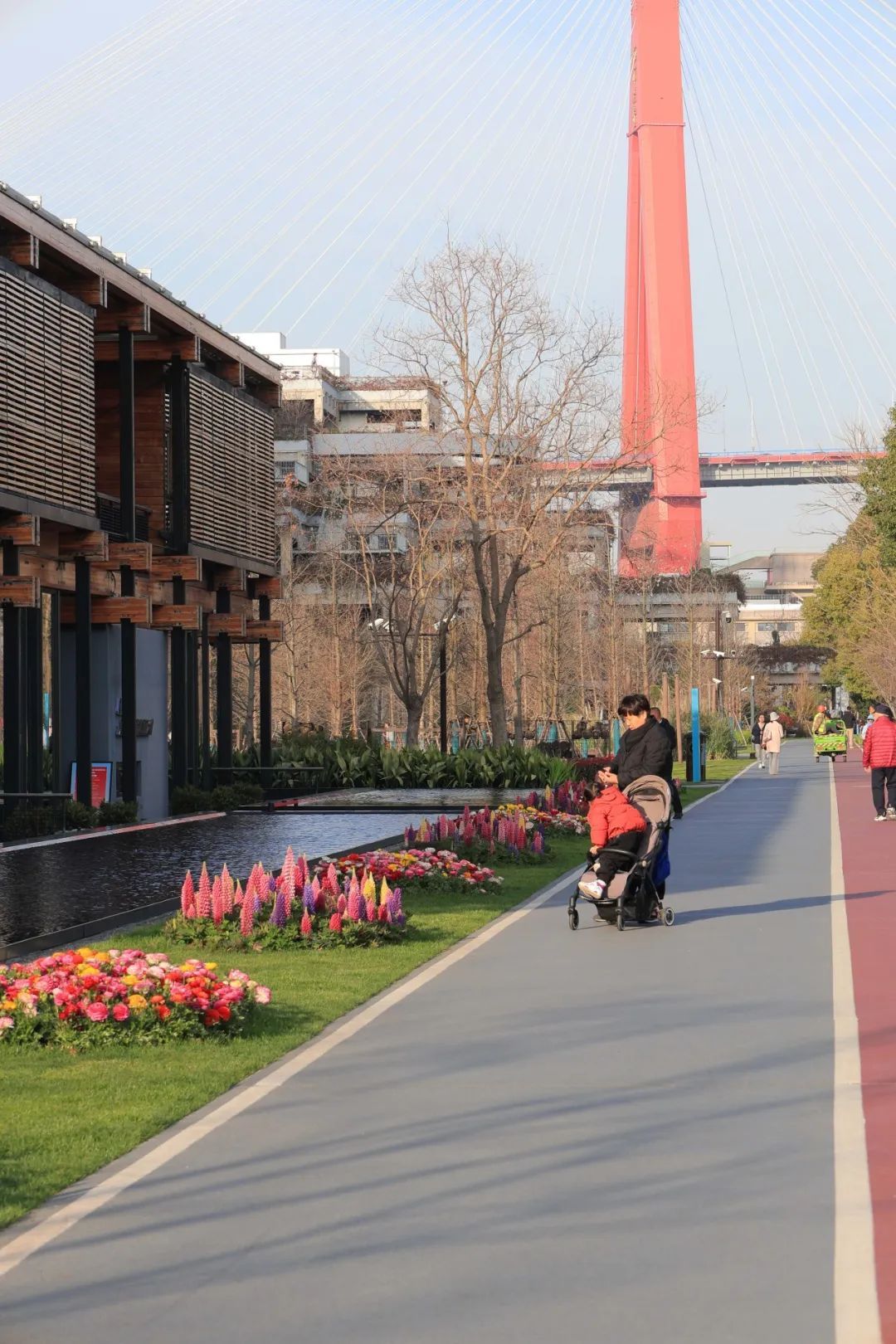 在杨浦滨江邂逅繁花开启一场春日citywalk