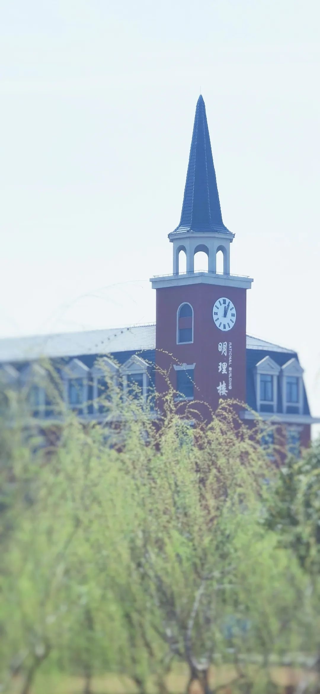 上海金山区世外学校蒙山中学西林中学罗星中学上海食品科技学校华东