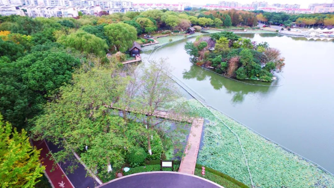 千米花道五彩滑道来这个公园赏花户外运动两不误丨萌娃游闵行