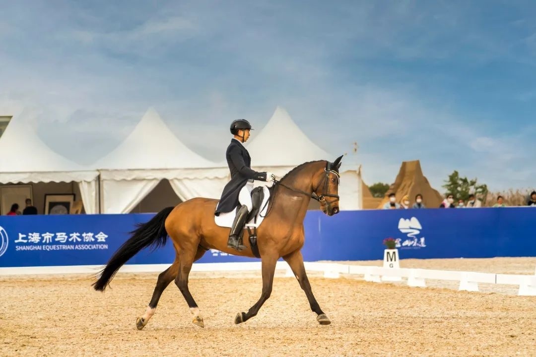 本周末马术盛装舞步就在金山城市沙滩