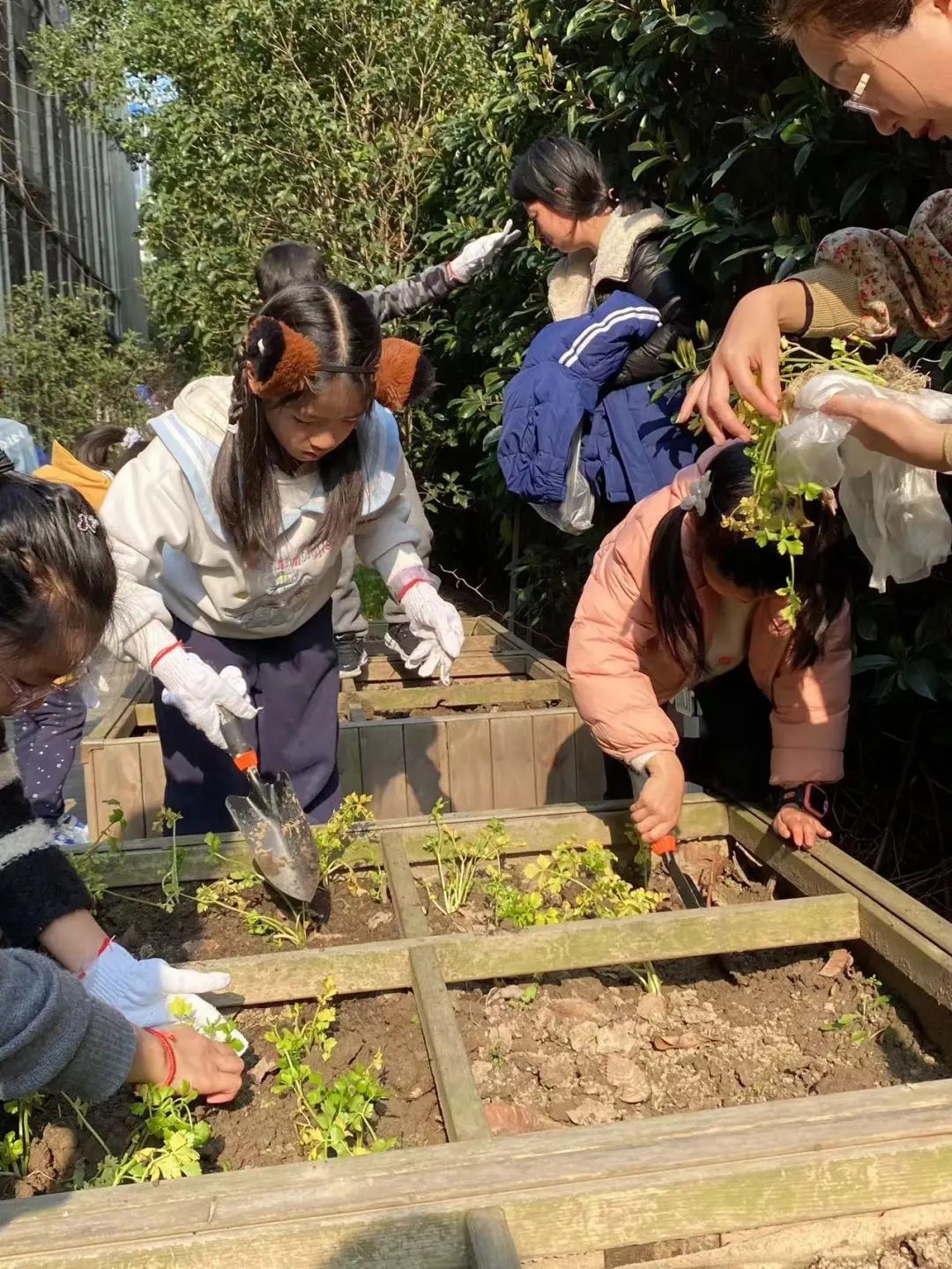 春日好时光wuli小农场耕种忙