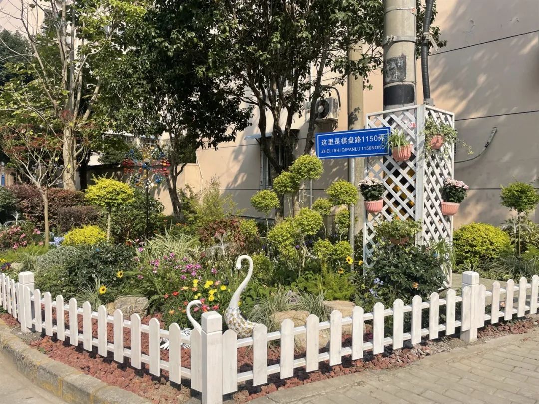 新建道路公园邻里中心2024年菊园新区这些实事项目即将影响你的生活