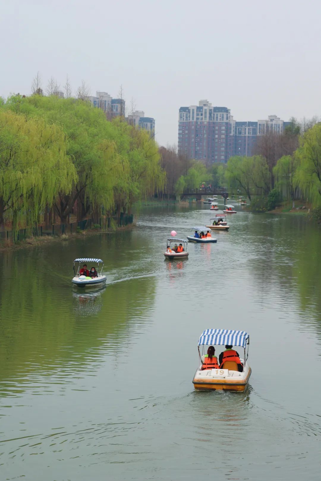 本周末顾村公园迎来逾8万游客,预计下周染井吉野进入观赏期!_上观新闻