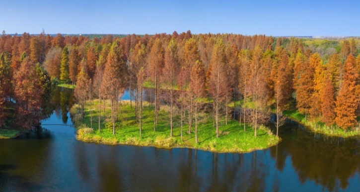 康养新海·畅享活力美约会第1站:光明田原(下述活动