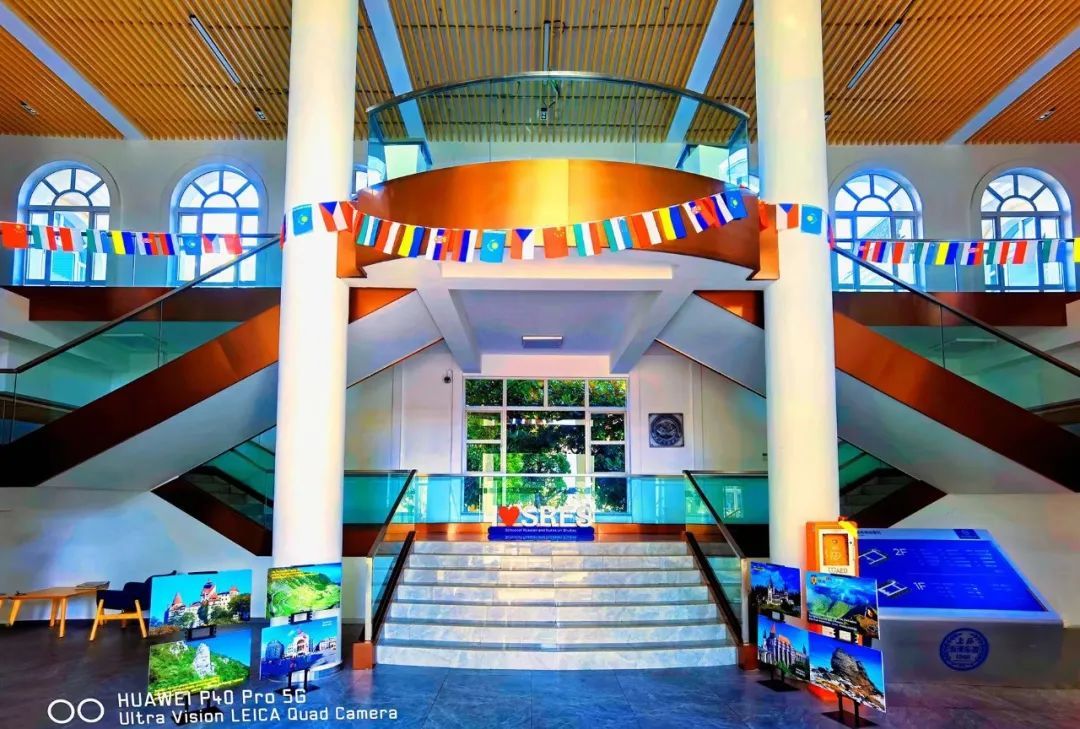 春色满园上海外国语大学美景如画