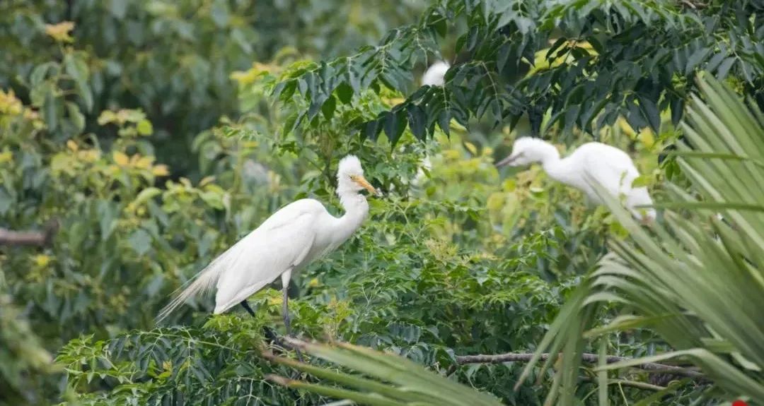 春日新海等你来约