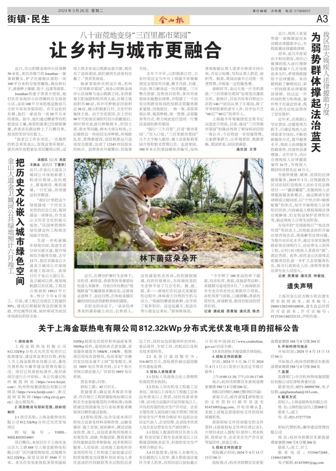 龙腾沪跃看金山这期金山报你看了吗