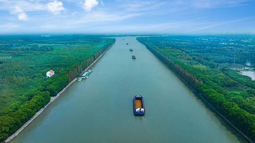 春风又绿江南岸太浦河春日大赏来了