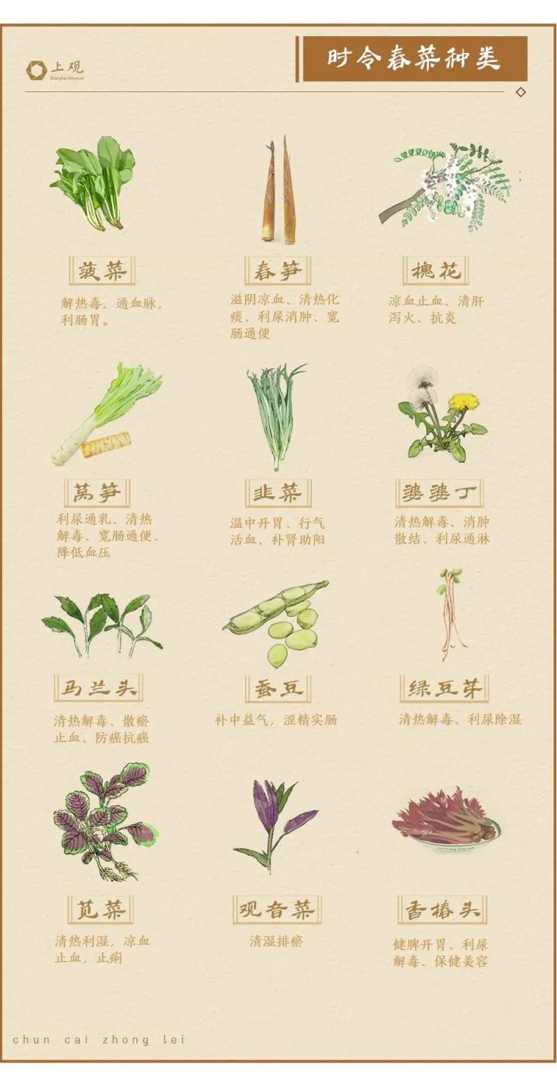 野菜图片和名字可食用图片