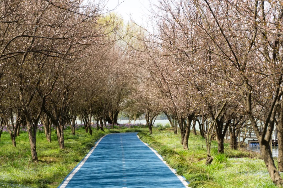 春天的西沙明珠湖景区美极了
