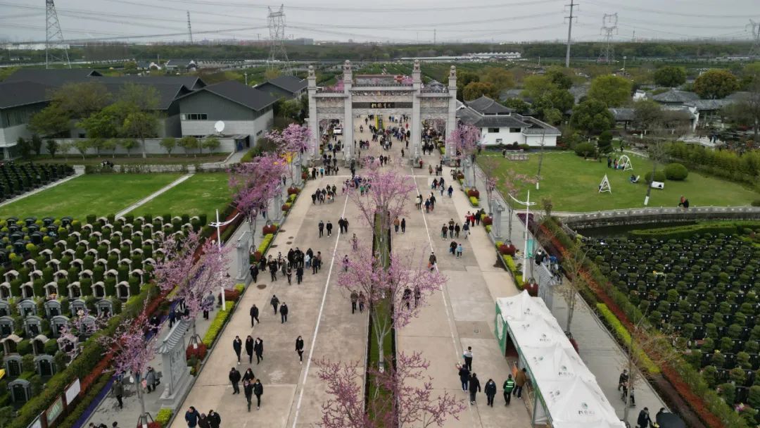 据预测,今年清明期间(3月23日-4月6日)嘉定松鹤墓园,长安墓园,清竹园