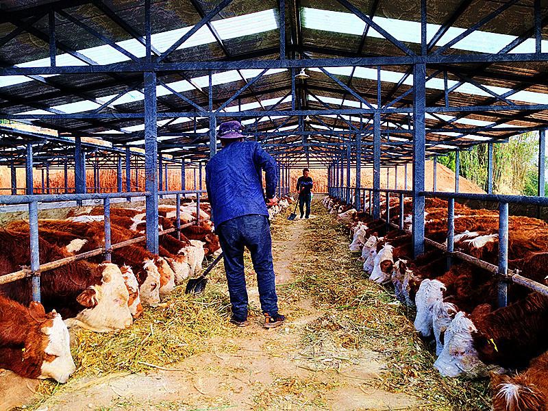 特色种养“多点开花”全域发展动能强劲宝博体育- 宝博体育官网- 宝博体育APP下载 BaoBoSports