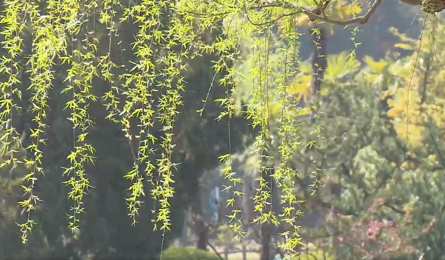 初夏体验金山周末天气晴好