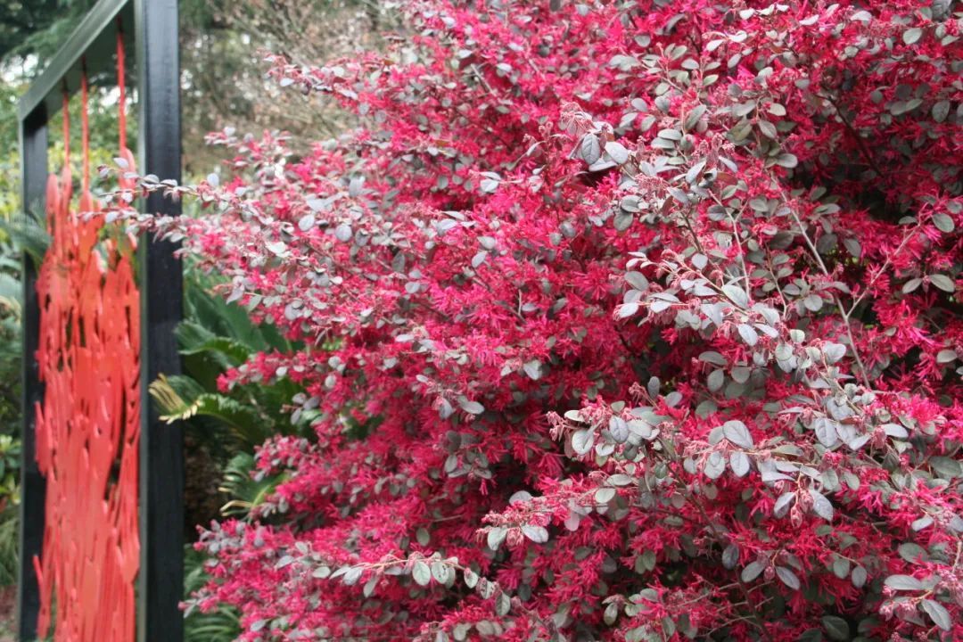 早安长宁今天阳光回归气温冲高