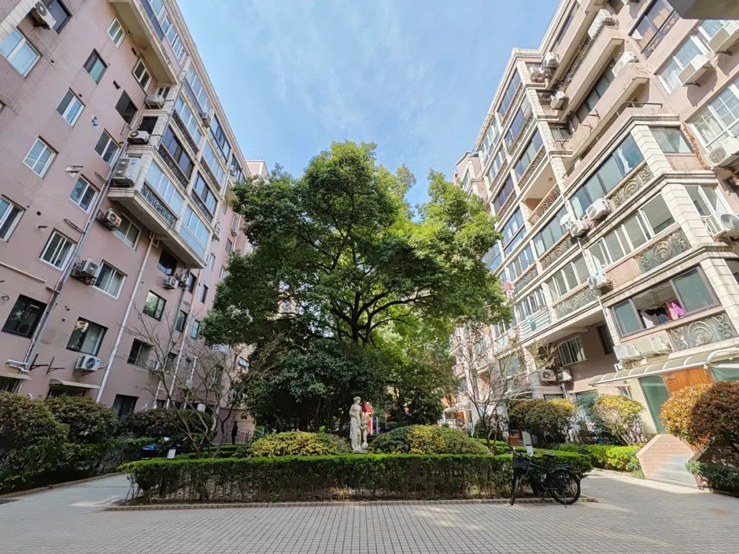 早安长宁今天阳光回归气温冲高