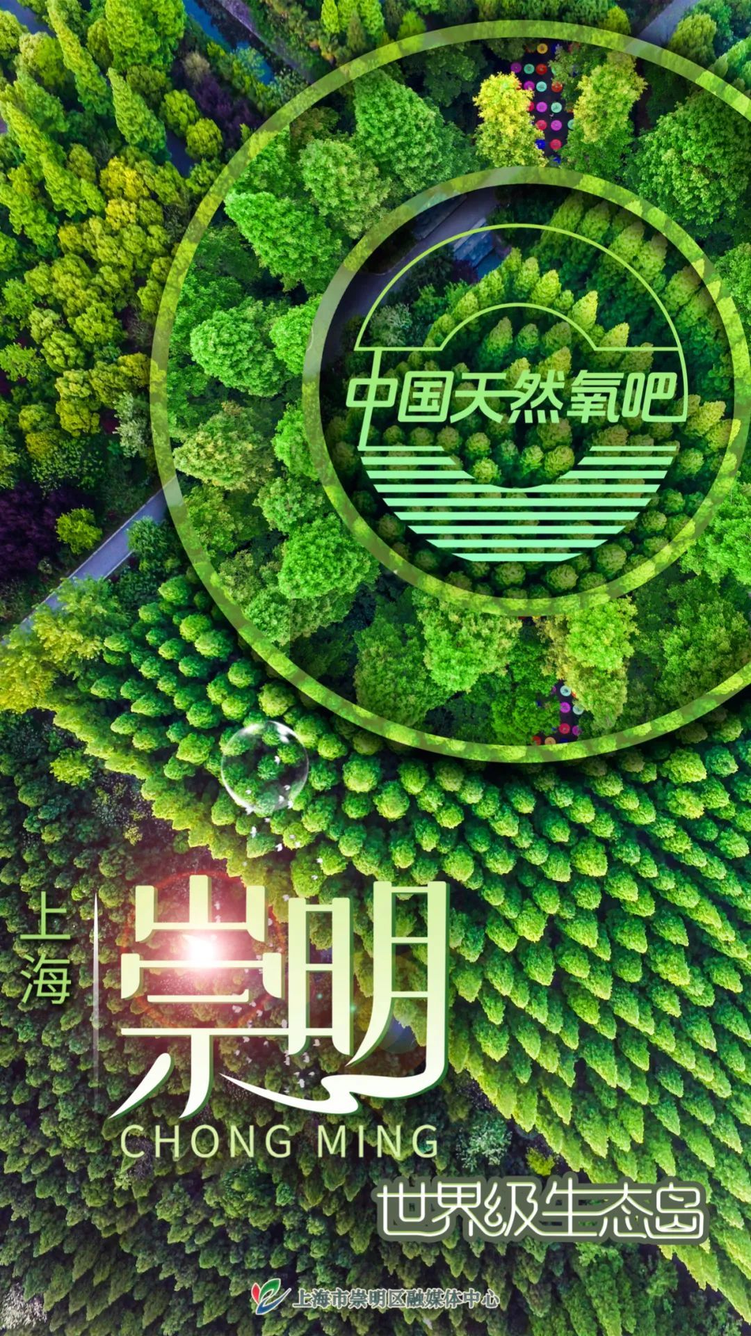 他和他的白马咖啡在小岛上悄悄火了
