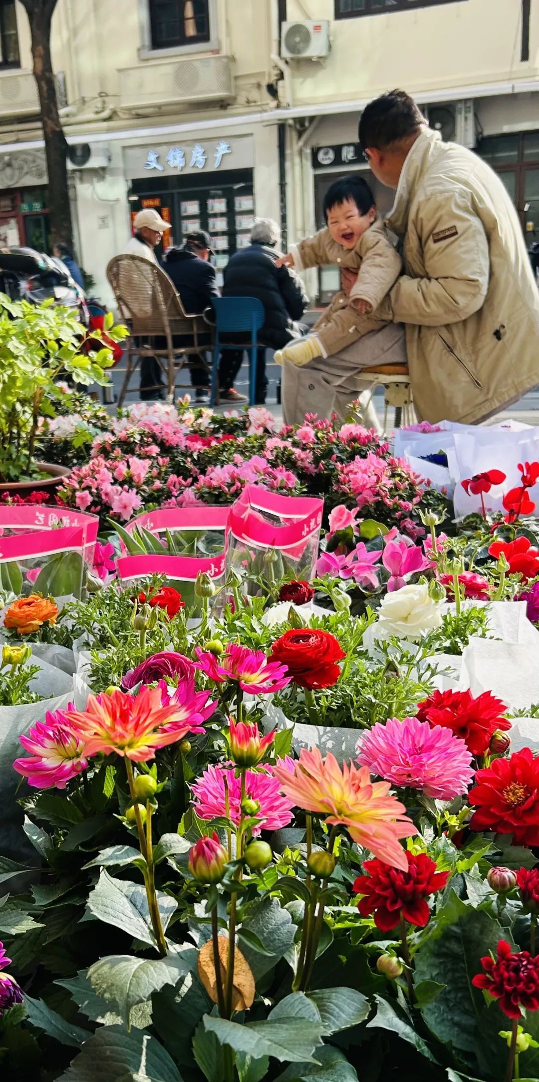 遇见徐汇|三月的烟火人间,是否也在你的手机里?_上观新闻
