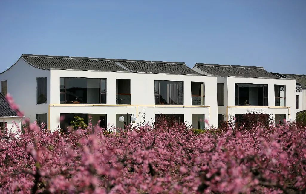 清明假日将至吴房村的民宿上央视了