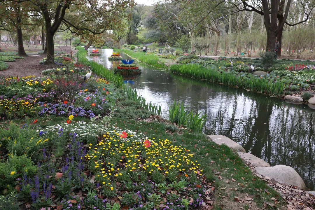 要说最值得打卡的点位,那一定非"莫奈花园"特色景点莫属.
