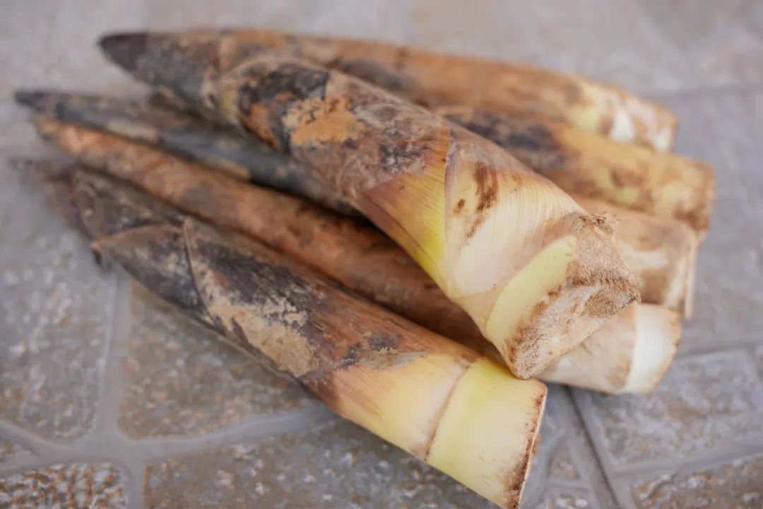 春笋来袭!等一场春雨,尝一口新鲜~