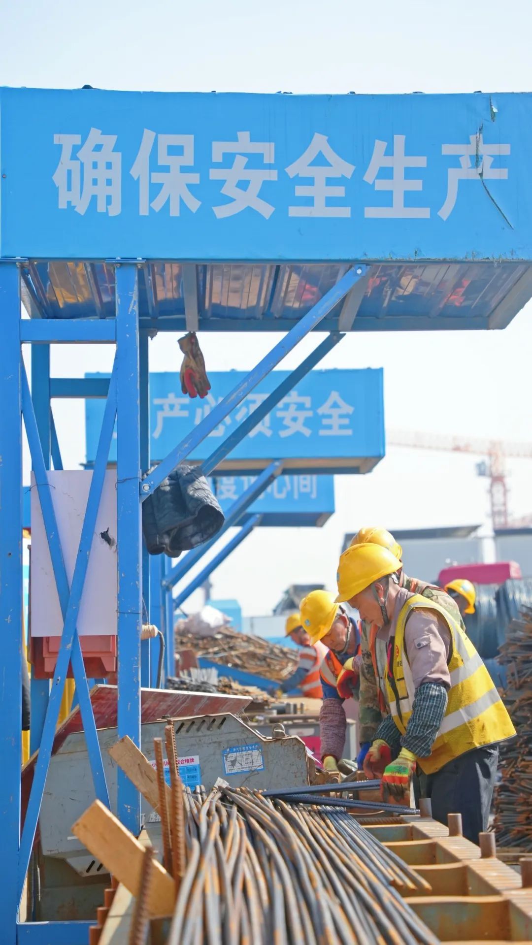 5天一层楼空中造楼机亮相杨浦滨江