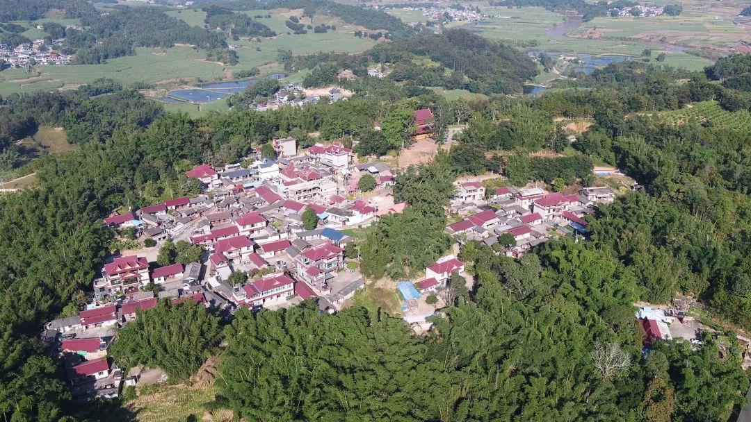 媒体聚焦普洱景谷沪滇共筑新云盘小组幸福村