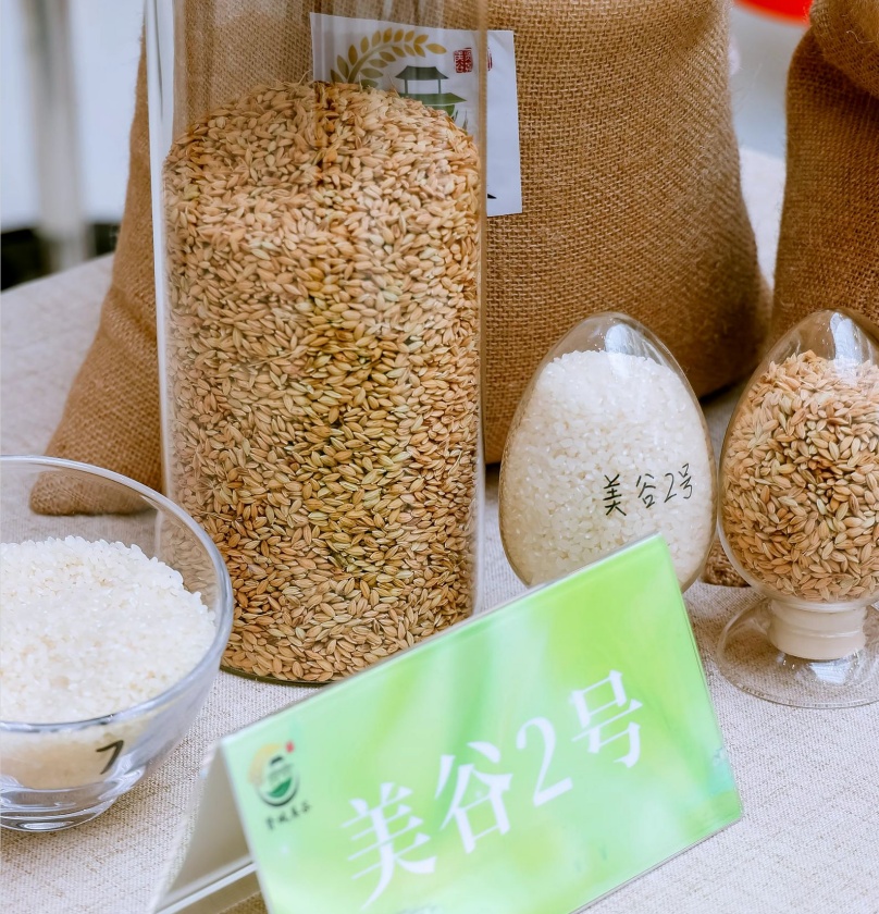美谷2号""美谷1号""申优28""沪软1212""沪早粳193"这五个优质水稻品种