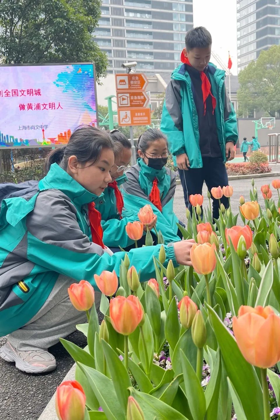 黄浦区初级中学图片