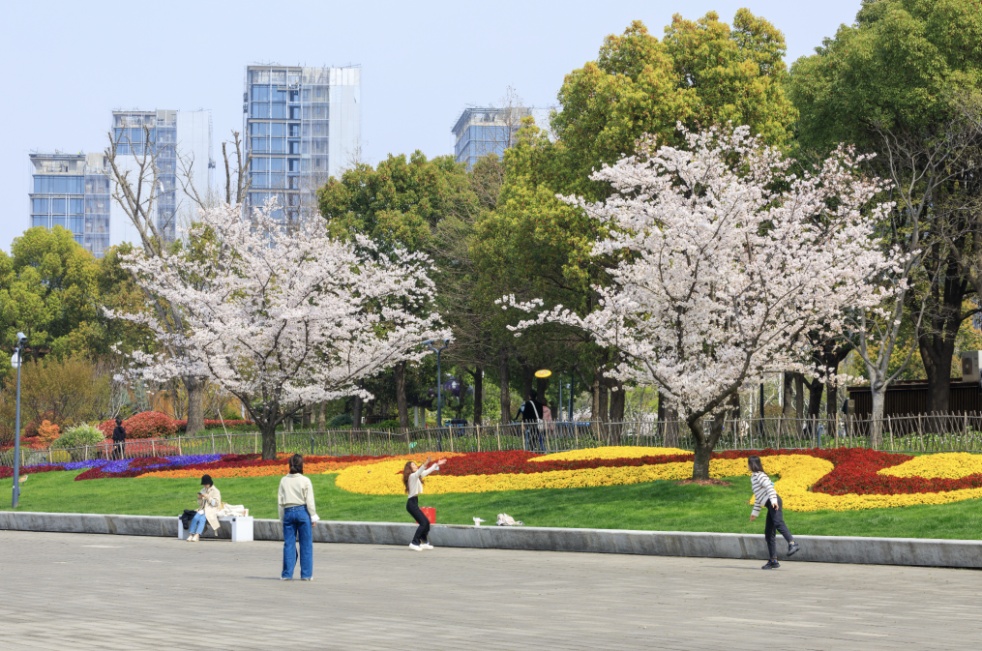 北栈滨江绿地老白渡滨江绿地滨江大道公园在东岸滨江,抬头便是浪漫