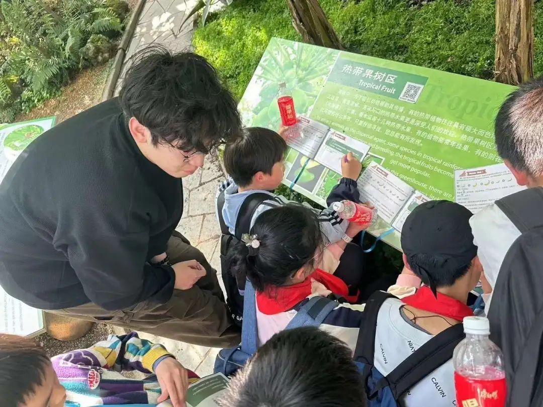 我们是小小植物学家万航渡路小学探索春游新模式