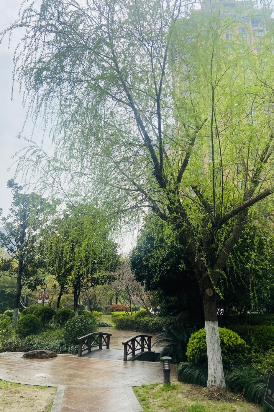 新版闵行色卡上线五彩斑斓里寻春天