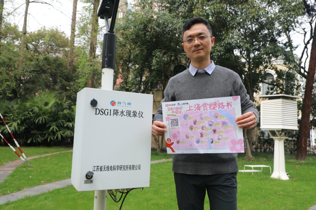 听劝的年轻人先看上海市气象局实时花讯再出门赏花