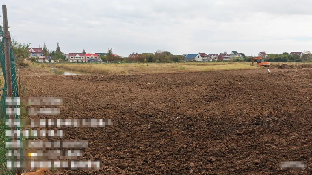 基层公益诉讼碳汇认购探索耕地保护新模式