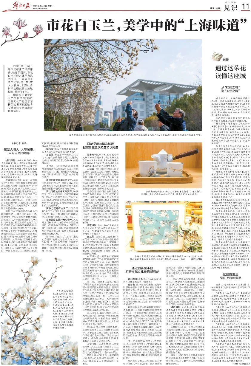 智库声音解放日报王慧敏市花白玉兰美学中的上海味道