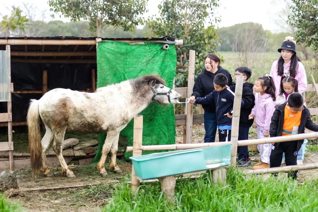 "记者跟着王沈利的步伐,经过几条蜿蜒小道,穿过一块新芽渐绿的露营地