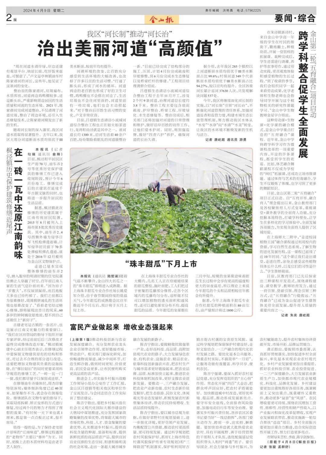 富民产业做起来增收业态强起来这期金山报你看了吗