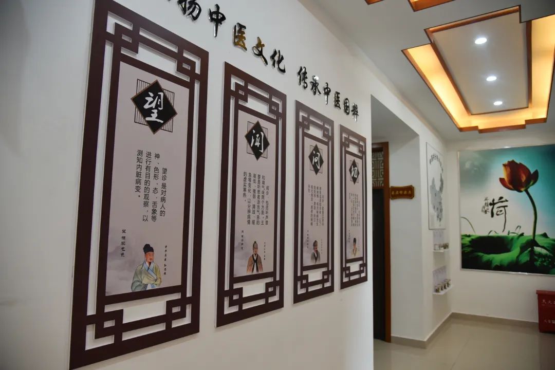 "家门口"就有优质中医服务!松江这里的卫生室让村民们连连称赞