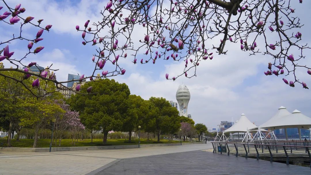 今年徐汇滨江怎么变