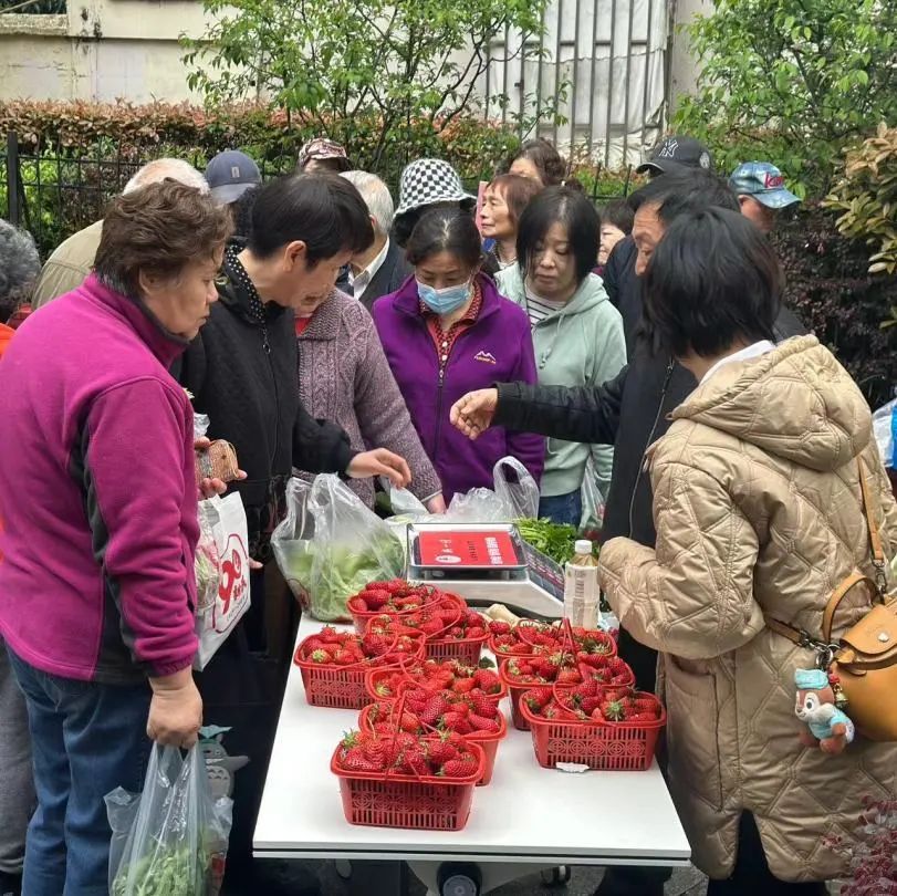 走下楼买菜去普陀这里让菜篮子拎出幸福感