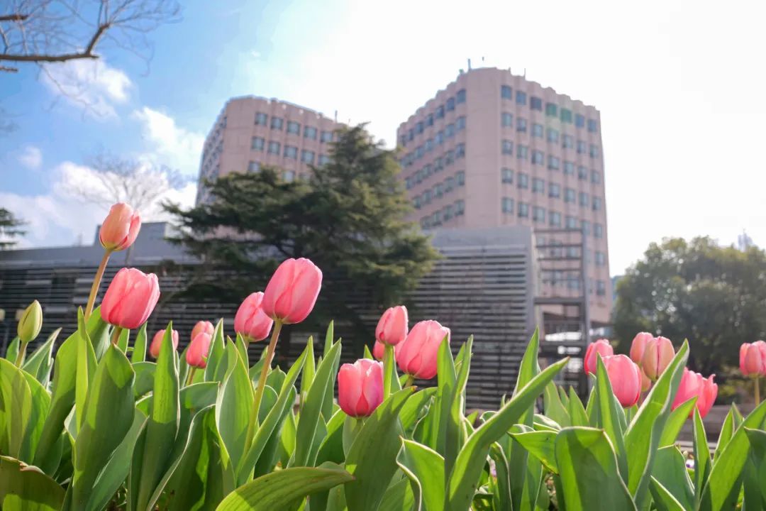 同济大学发布最新进校通知