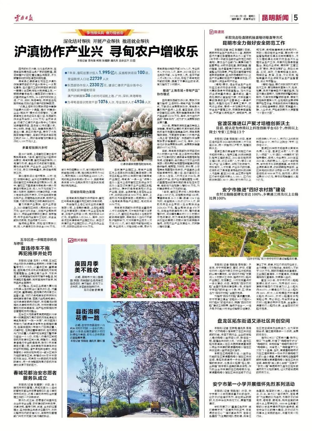 仁德街道食用菌菇栽培车间.